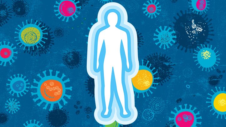 Immunrendszer – a testünk várfala